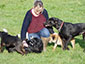 Gemma with more dogs